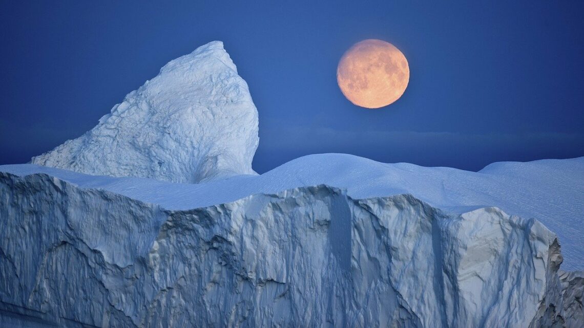 Croisière Antarctique pas cher : quel bateau pour l'Antarctique ?